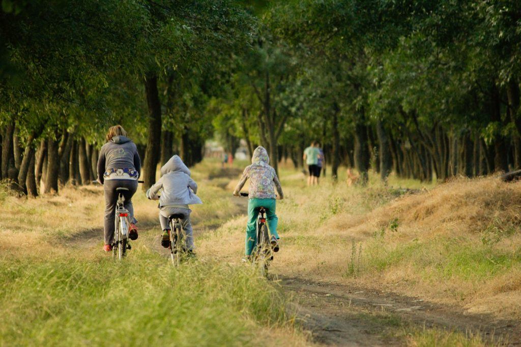 Activity family cycling in the New Forest
