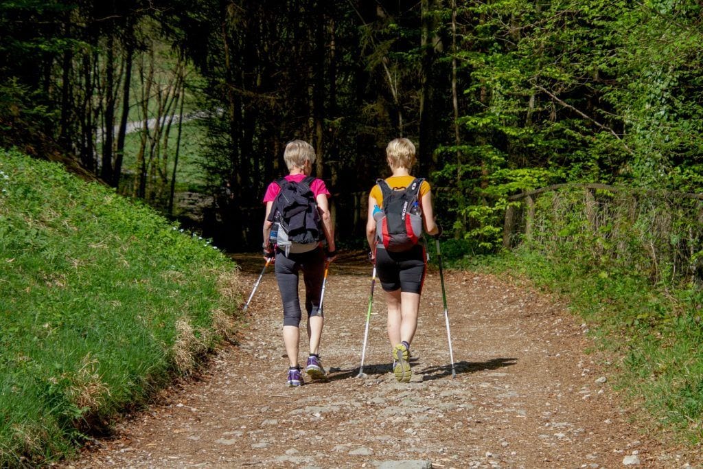 2 friends walking activities in summer in the New Forest 